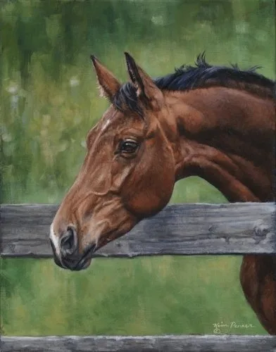 Carlton, equine painting by Kim Penner, in a private collection