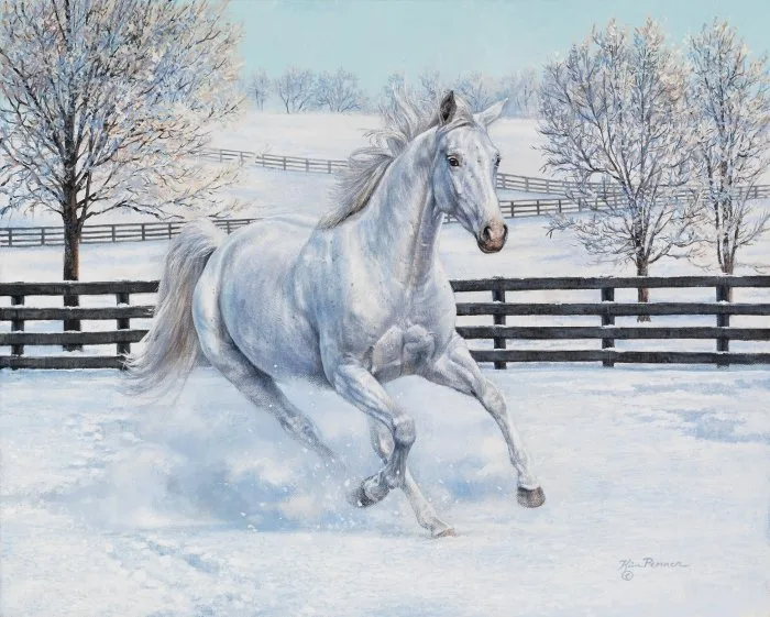 Snow Angel, equine painting by Kim Penner, in a private collection