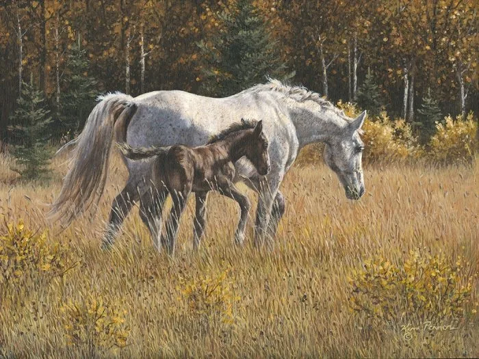 Walking Together, equine painting by Kim Penner, in a private collection