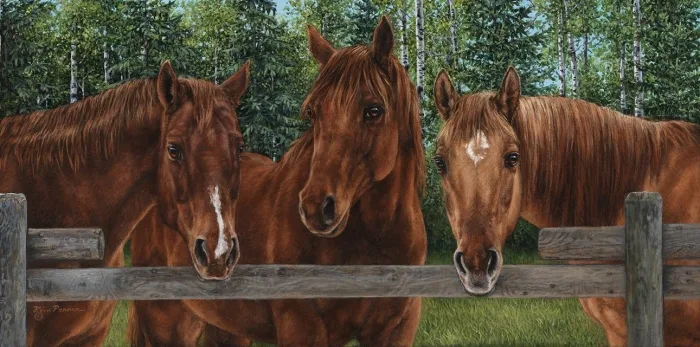 Commissioned portrait of three chestnut horses gathered at a pasture fence, painted in acrylic by Kim Penner