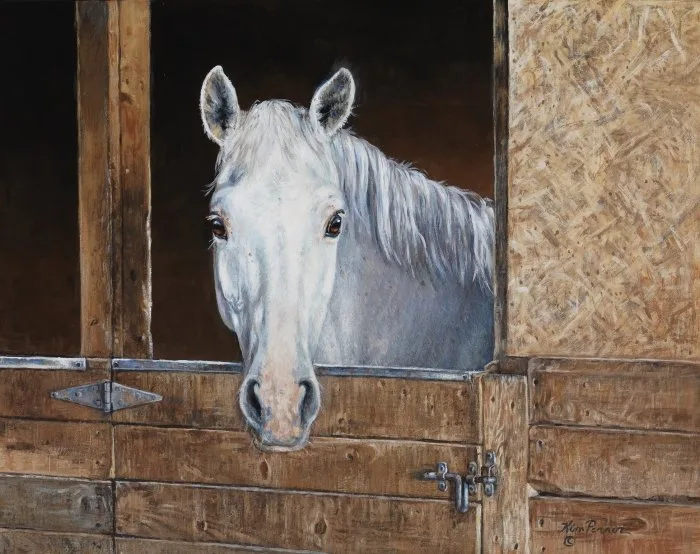 Grey horse looking out from a wooden stable doorway in soft indoor light, original equine painting by Kim Penner.