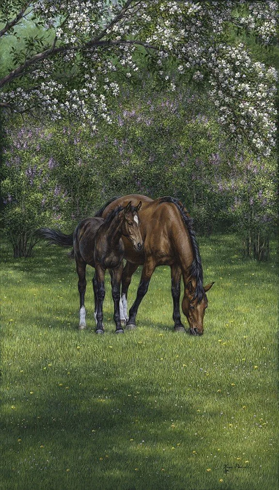 Meadows Grace, equine painting by Kim Penner