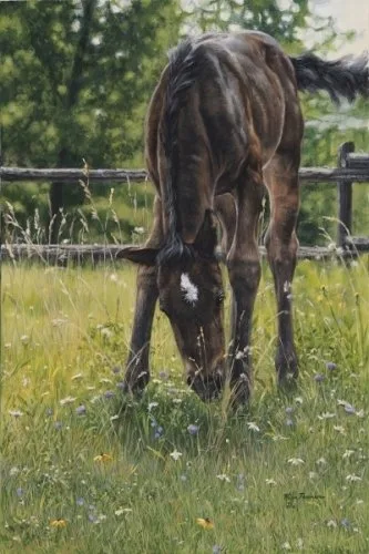 Mare grazing in tall summer grass near a wooden fence, original equine painting by Kim Penner.
