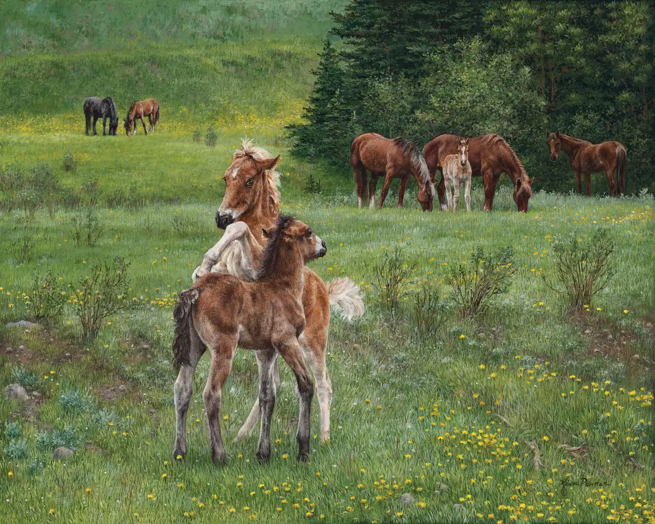 Wild at Play by Kim Penner: two foals playing in a green wildflower meadow with horses grazing beside evergreen trees.