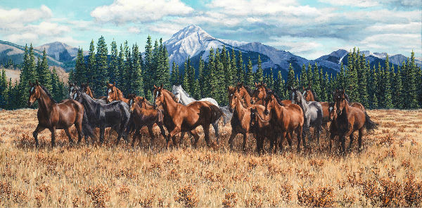 Kim Penner Horse Art - Reproductions