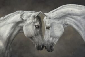 Close-up of two white horses touching noses in soft gray light, intimate equine portrait.