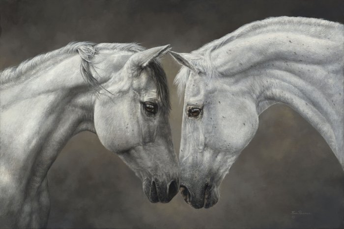 Close-up of two white horses touching noses in soft gray light, intimate equine portrait.