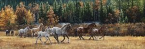Horses walking through a grassy meadow with evergreen forest and hills in the background, original equine painting by Kim Penner.