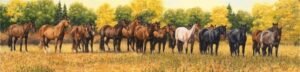 Herd of horses standing in a sunlit meadow with golden trees behind them, original equine painting by Kim Penner.